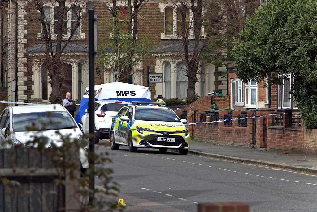 Murder probe launched after man stabbed to death in Northumberland Park ...